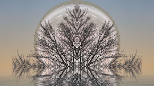 Kara's Not Red Treetop, 