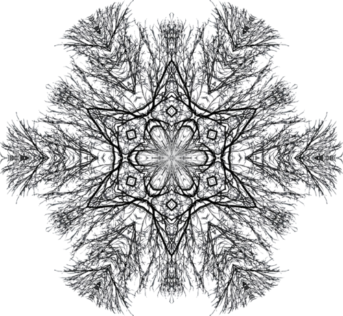 Kara's Treeetop Snowflake 04 black, .png
