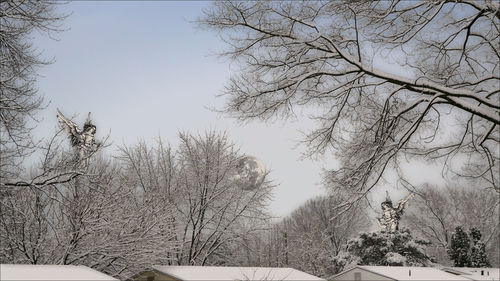 Hidden Angels (come to clean up the mess), Kara's December Snowy Rooftops with additions from https://www.si.edu/openaccess (CCO)