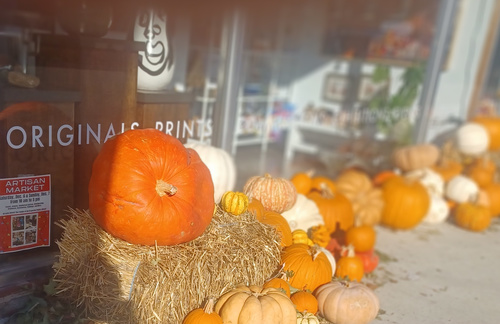 pumpkins photo, Taken in north texas
