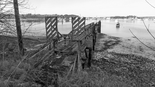 Dilapidated Dock, A dilapidated dock in an ocean bay