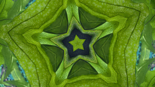 Plant Pentagram, Photo modified using GIMP "Kaleidoscope"