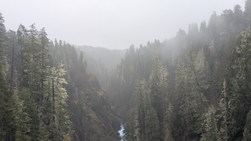 Skokomish River gorge